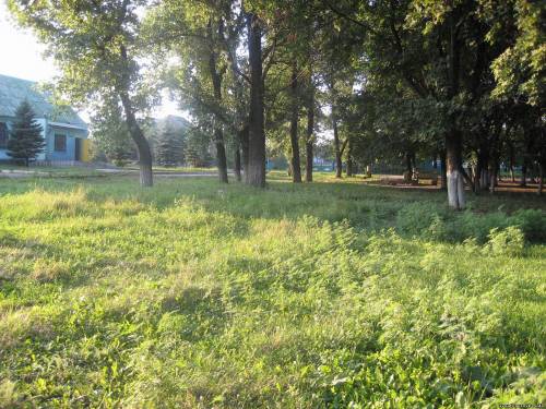 Кафе по улице в поселке Добропольского района
