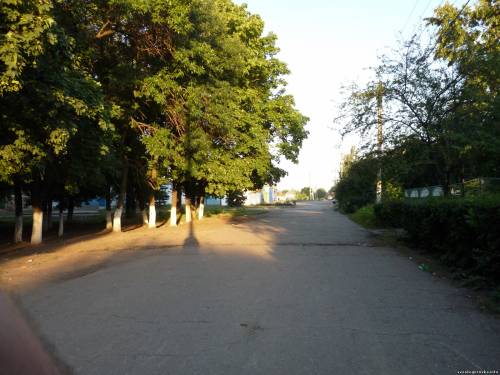 школьная жизнь