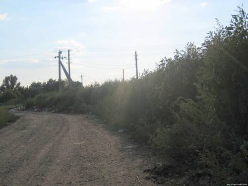 старое кладбище