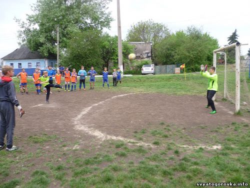святогоровка, вратарь
